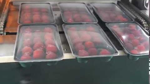 Automatic tray vacuum MAP tray sealing machine for fruit trays packaging