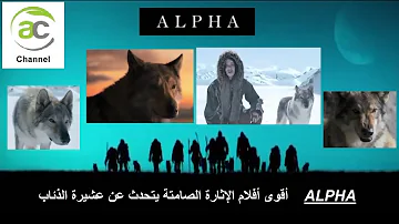 اقوى افلام عن الذئاب البرية Mp3