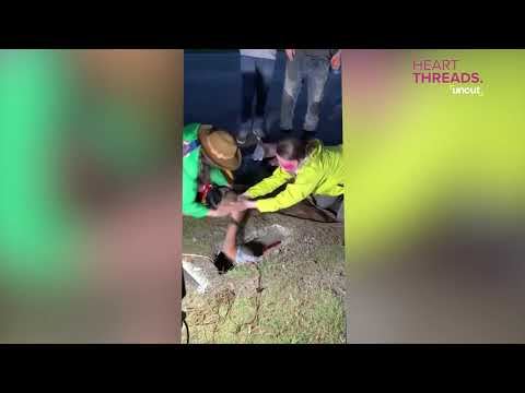 Neighbors rescue dog and puppies from storm drain