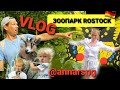 VLOG  Впервые вчетвером в зоопарке / Zoo Rostock 🦩🐫