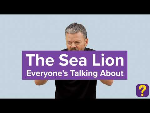 Here are 5 signs from this week’s Signs of the Week: "The Sea Lion Everyone’s Talking About" video!