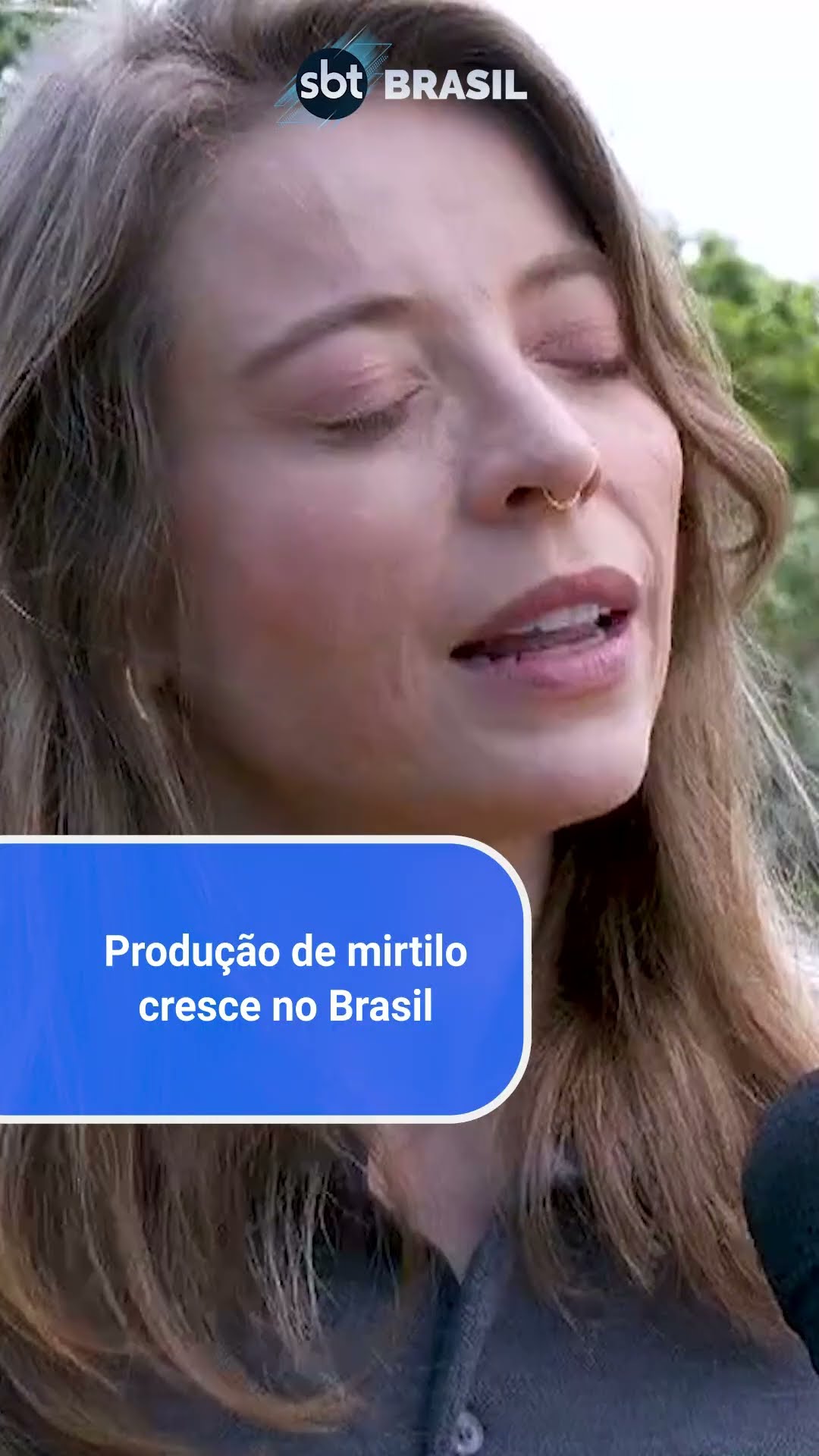 Brasil ganha espaço na produção de fruta popular na América do Norte | SBT Brasil (18/12/24)