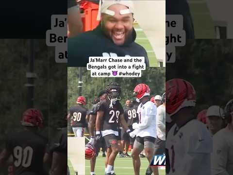 Ja'Marr Chase and the Bengals got into a fight at camp 😈 #whodey