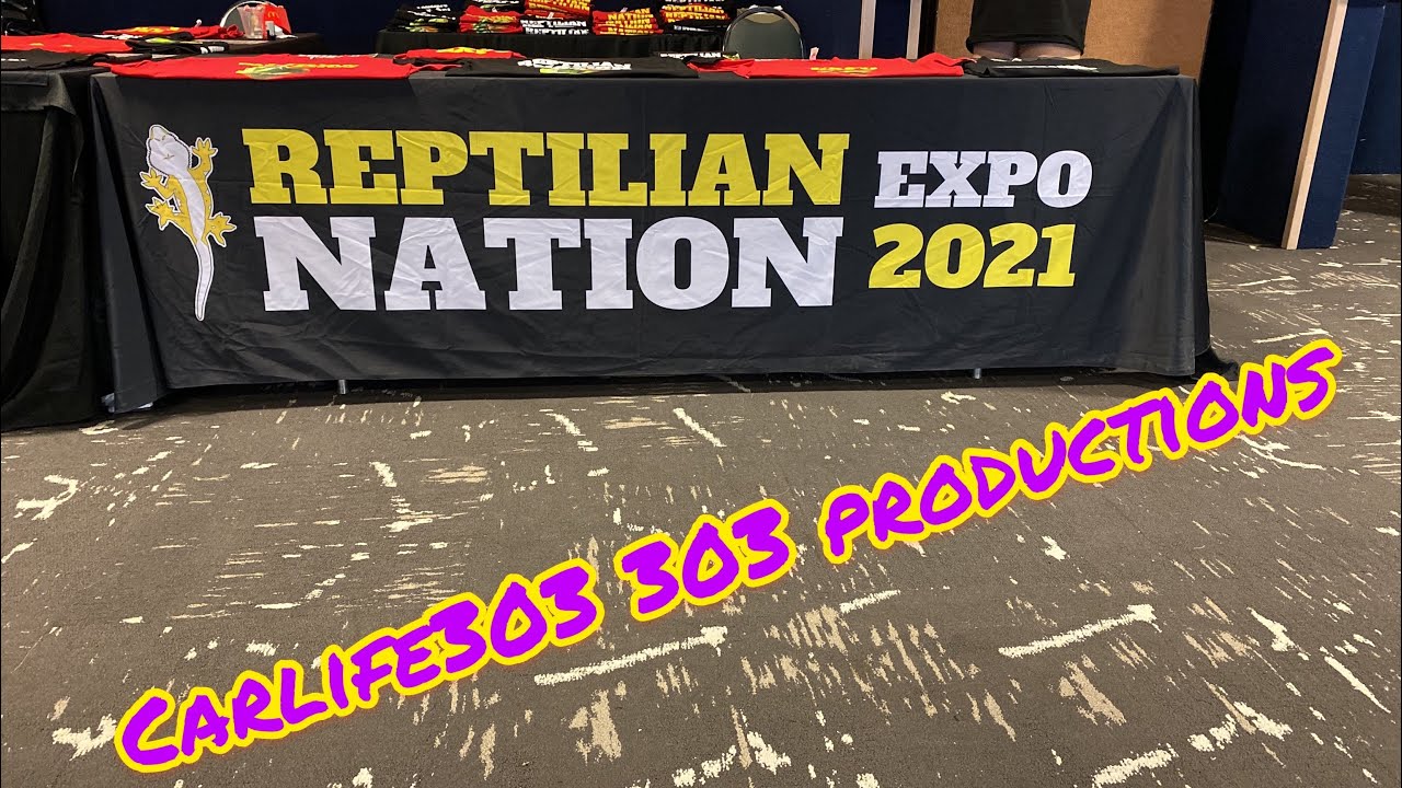 Reptilian nation expo Denver 2021 - YouTube