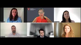 HHI ENP Thematic Briefing Series: Tools and Approaches in Negotiation with Non-State Actors