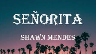 Shawn Mendes Camila Cabello  Seorita s  Al 