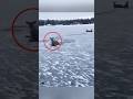 Man saved 3 deers stranded on the ice lake #shorts