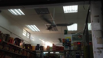 SMC brand, model K56, industrial/commercial duty ceiling fan in a grocery store