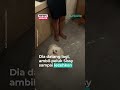 Lecehkan Anjing Dog Cafe Milik Owner di Jakut