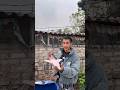 Truy tìm ghe bobo siêu cấp mua hơn 17 triệu và cái kết #funny #shortvideo