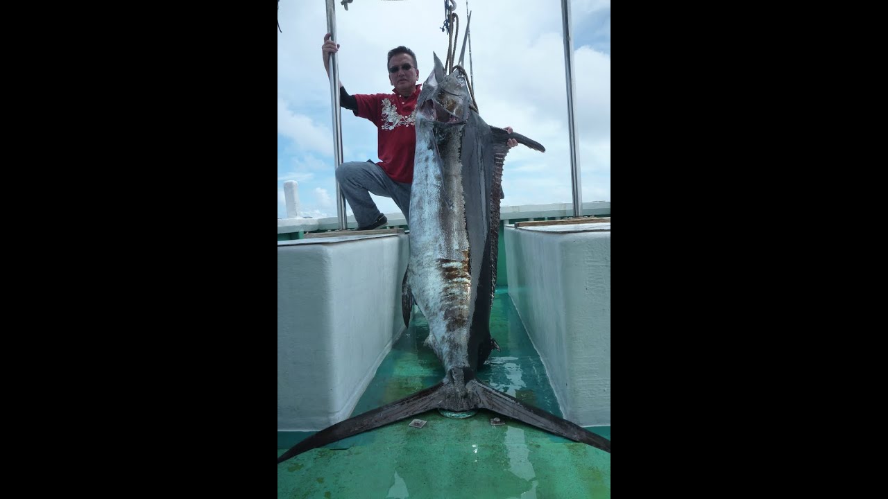沖縄でカジキマグロ釣り107ｋｇ トローリング 11年7月1日クレーンズ Youtube