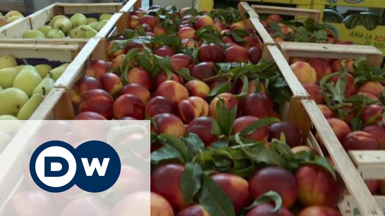 ukrainian boxer Пастила ручної роботи... із зіпсованих фруктів