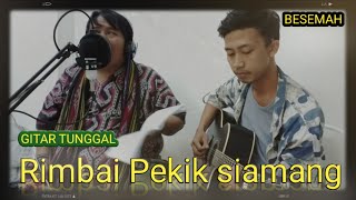 LAGU DAERAH SUMATERA SELATAN TANJUNG SAKTI - RIMBAI PEKIK SIAMANG