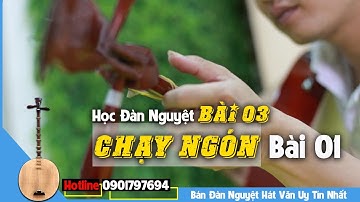 Học Đàn Nguyệt Bài 03- Cách Chạy Ngón Đàn Cơ Bản 01-Thầy Vũ Tuấn