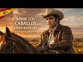 Elvis Presley – Donde los Caballos Saben Mi Nombre | Show Clásico [AI]