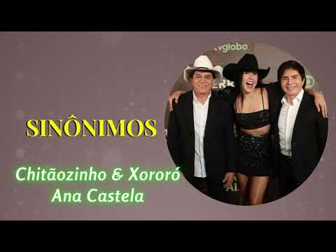 SINÔNIMOS- Chitãozinho e