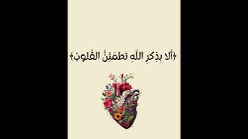 سورة نوح /#القرآن_الكريم #اكسبلور #subscribe #dubai #duet #تيك_توك #لايك #العراق #quran