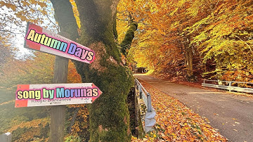 Autumn Days