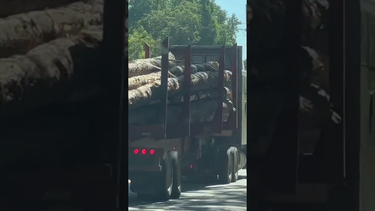 Peterblit 579 Hauling A Load Of Chip N Saw To Georgia Pacific Sawmill 