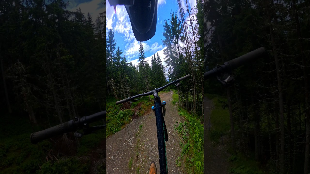 Сможем ли мы набрать 15 000 подписчиков? 💯🔥 