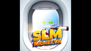 SLM - Kamelya Resimi