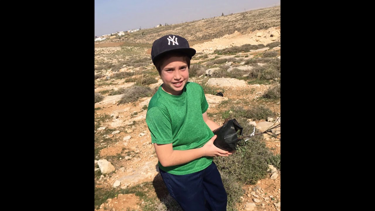 Tu B'Shvat Tree Planting at The Land of Israel Network Headquarters