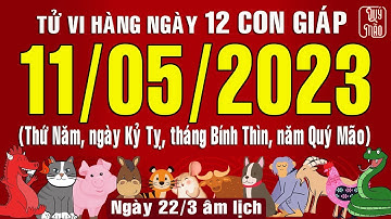 Tử vi Phương Đông hàng ngày, Thứ Năm (11-05-2023) của 12 con giáp, chuẩn xác nhất (Bản Full)