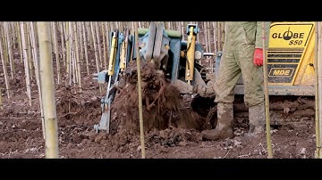 MDE Globe with digging unit