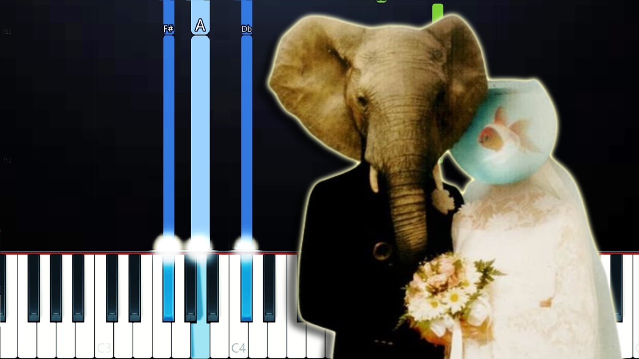 Ricordi - Pinguini Tattici Nucleari (Piano Tutorial)