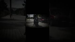 Zontes 250te #music #djiaction4 #beniöneçıkart #shorts #youtubeshorts #zontes #tiktok #viral  #vlog