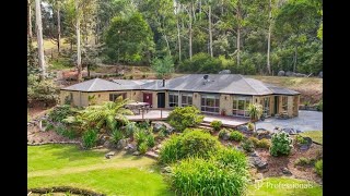 15B Old Warburton Road Warburton