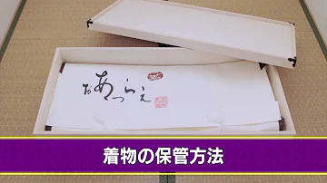 全日本カメコ協同組合 Mp3