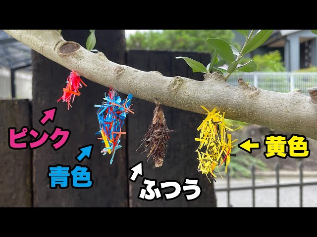 非常に珍しい蓑虫（みのむし）の皮で製作されたハンドバッグ（お話し合いで値下げ交渉可能） ☆蓑虫【みのむし】レトロ ハンドバッグ ライトブラウン系 希少 レア