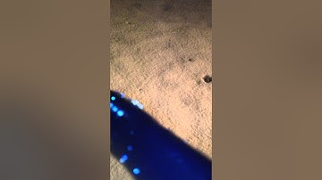 Victory VCOM compared to GT, Luxe 2.0, and DM13