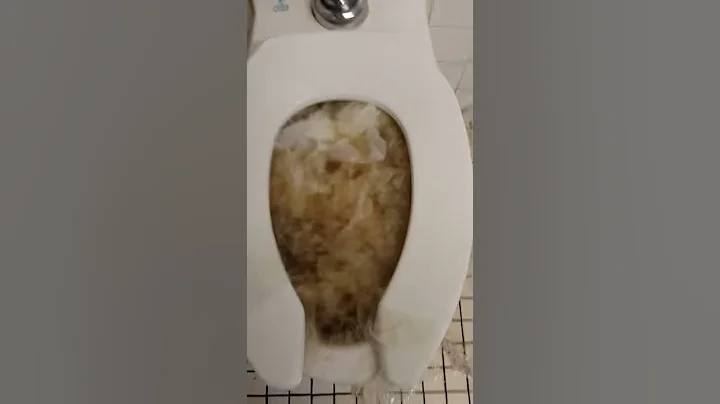 Flushing a clogged school toilet - DayDayNews