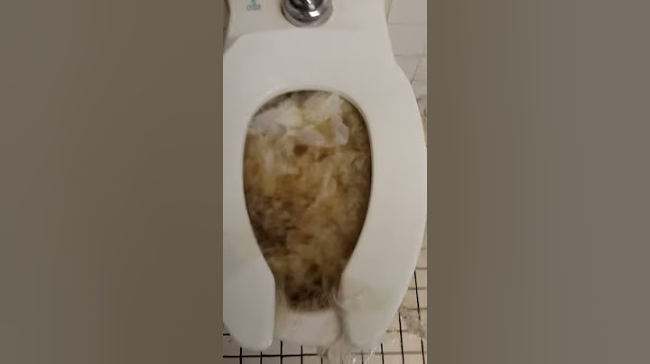 Flushing a clogged school toilet