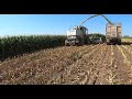 corn silage harvest 2022 part 2