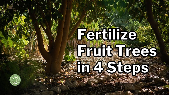 Mastering Fruit Tree Fertilization in a Food Forest or Home Garden - DayDayNews