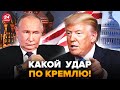 🤯Прямо к Новому году! ТРАМП жестко ответил ПУТИНУ. В США восстали против МОСКВЫ
