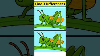 🦗 Find 3 Differences – Cute Grasshopper Challenge!