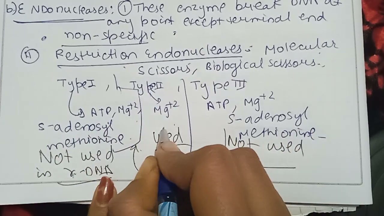 cleaving enzyme,Exonucleases &Endonuclease enzymes types  and difference between them .
