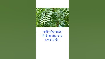 general knowledge || quiz spinal cord #shorts #health video