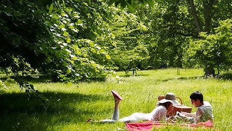 Springtime Review of the 6th & 9th Commandments