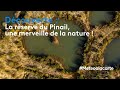 Ref:Im9sPQlBQc8 Dcouverte : la rserve du pinail, une merveille de la nature !