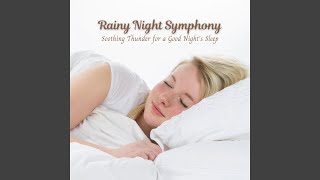 Rain's Serenade in Soothing Symphony
