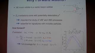 Max Ruhdorfer: Physics Potential of Forward Muons at a Muon Collider