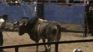 Lo mejor de Rancho los Limones de Isidro Arellano