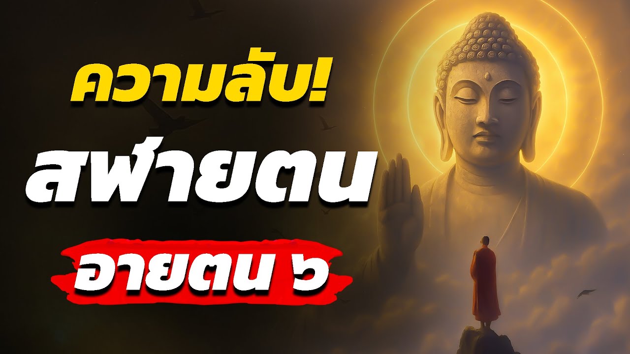 สฬายตนวิภังคสูต ทำความเข้าใจให้ถึง อายตนะขั้นสุด! l ปัญญาธรรม