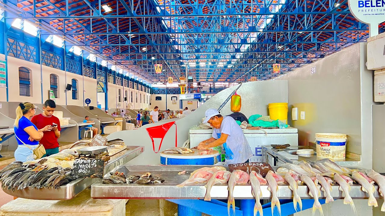O MAIOR BANQUETE DO MUNDO! 🐟🔥 A fartura absurda do Ver-o-Peso na Amazônia!