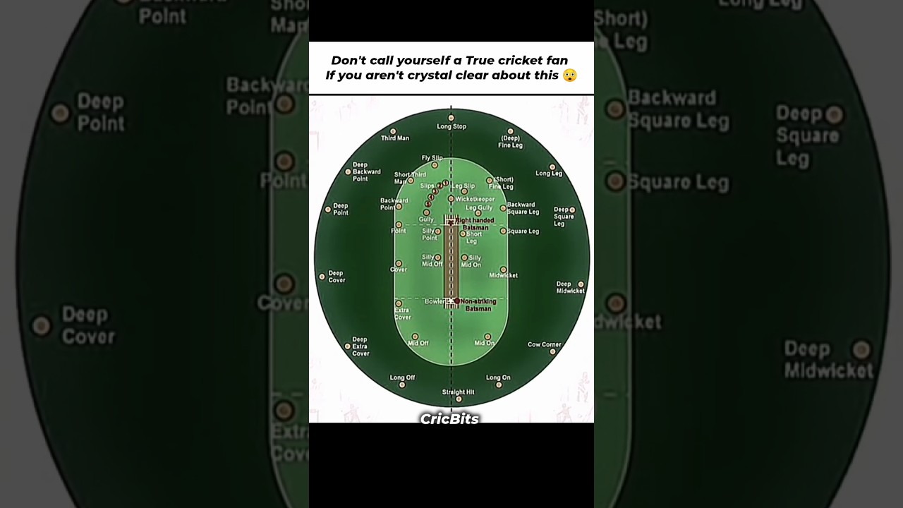 Fielding positions in cricket 👀